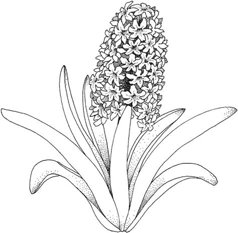 I've got blooms and bouquets for you to color and share. Peony Coloring Page at GetColorings.com | Free printable ...