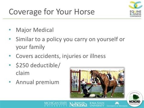 Equine Insurance: Protecting Yourself, Your Horse, and Your Equine Bu…