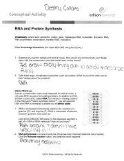 Which rna molecules are involved in the synthesis (making) of a protein? Use the Gizmo to answer the following questions A Which ...