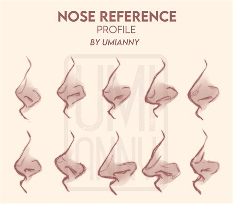 Artstation Nose Reference Profile Studies