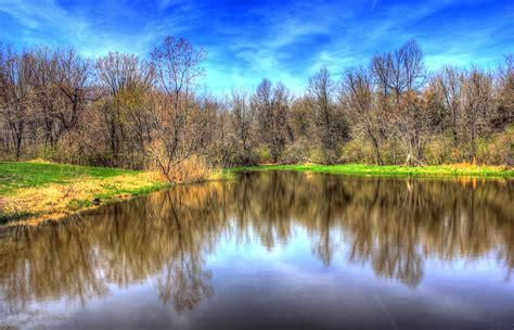 Small pond at Sangchris Lake State Park, Illinois image - Free stock
