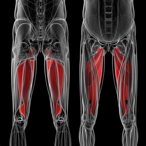 Read about diseases and conditions that may cause groin pain, and learn about the medications used in treatment. Groin strain - Lucas Massage Therapy