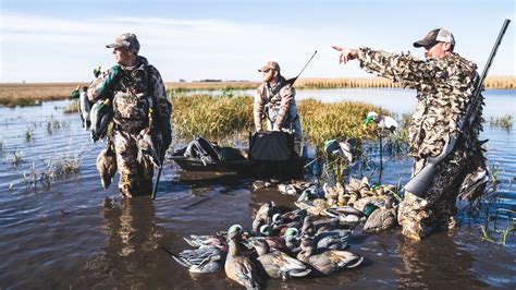 How And When To Hunt A Duck Roost Meateater Hunting