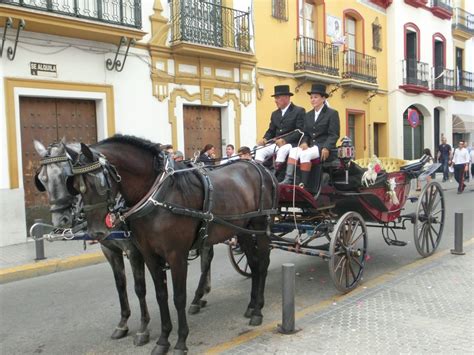 Carruajes De Caballos En Sevilla Alquiler Para Eventos