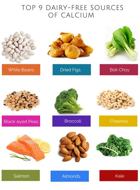 Milk, cheese and other dairy foods. Top 9 dairy free sources of #calcium. Visit: http://www ...