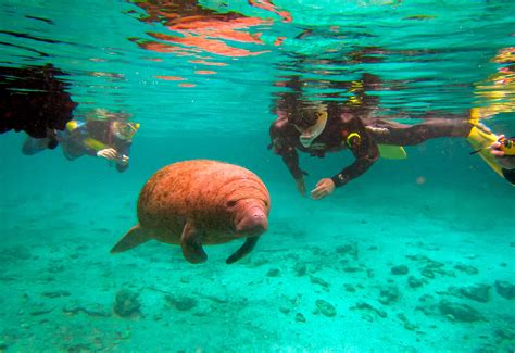 Explore off the beaten path with Orlando's best hidden gems