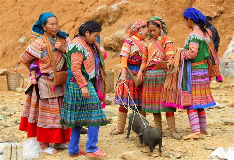 grote versie | Vietnam, Hmong, Cultuur
