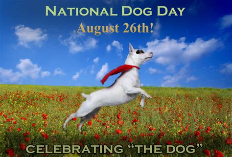 National Dog Day Archives Fuzzy Today