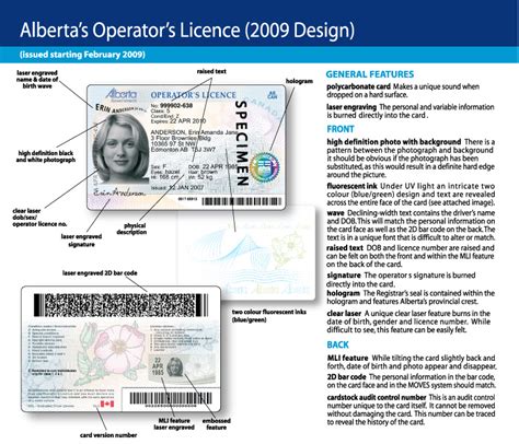 Alberta Canada Drivers License Format Selectclever