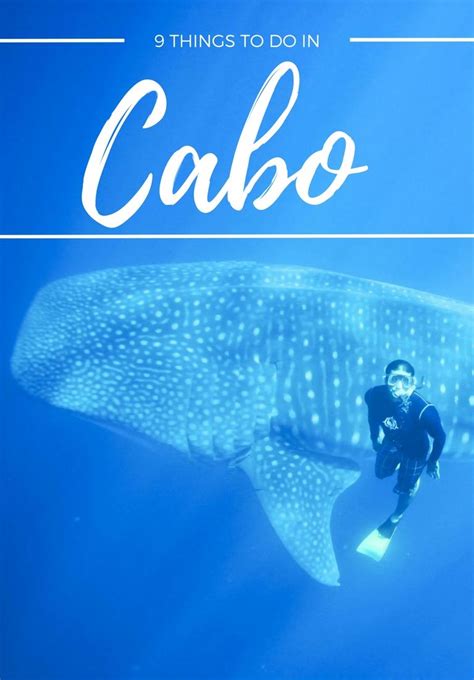 Camel riding may be the central focus of our outback and camel ride desert safari in cabo, but it's not the only reason to book. 9 Things to Do in Cabo | Travel cabo san lucas, Cabo san ...