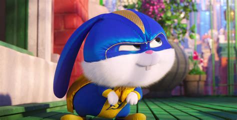 The quiet life of a terrier named max is upended when his owner takes in duke, a stray whom max instantly dislikes. 'The Secret Life Of Pets 2' Snowball Trailer: Kevin Hart's ...