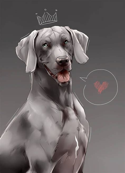 Weimaraner By Mr Skid Canine Art Cute Animal Drawings Dog Design Art