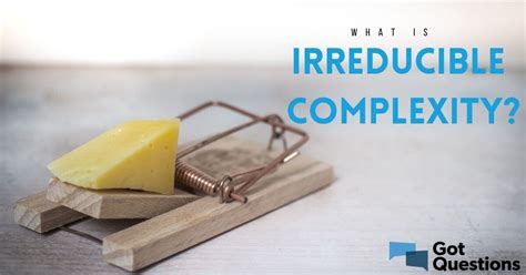 What Is Irreducible Complexity