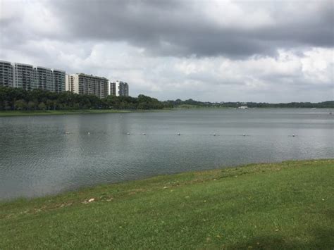 (drone) bedok reservoir park, singapore singapore mrt ride from tampines to bedok reservoir train station singapore circuit road to bedok reservoir road cycling tour (july 2020) Bedok Reservoir Park - Picture of Bedok Reservoir Park ...