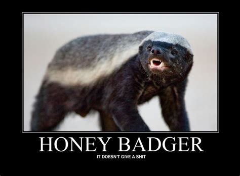 It All Started With A Little Honey Badger Honey Badger Honey Badger