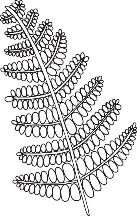 Fern Pattern Coloring Pages Sketch Coloring Page