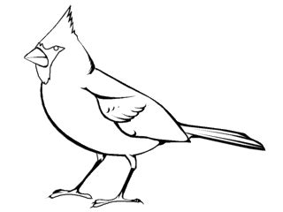 The page belows contains color combinations, color schemes, color palettes and images that match and go good together with the hex color bd2031. Coloring Pages of Backyard Birds | Bird coloring pages ...