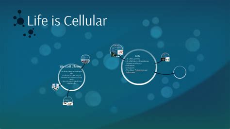 The invention of the _____ made the discovery of cells possible. Life is Cellular by Gemima Jeudy on Prezi