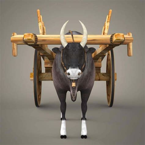 Ox Cart 3d Model By 3dseller
