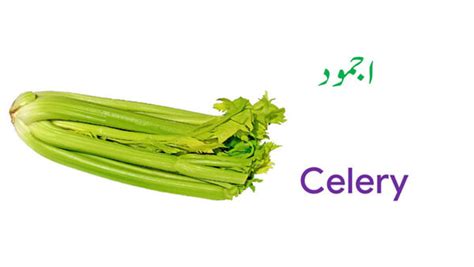 Zucchini also softens when cooked and will take on a slightly sweet taste as well as absorbing the flavors cucumbers offer a refreshing, crispy addition to dishes if they're left raw. Vegetable Names in English and Urdu with Pictures ...