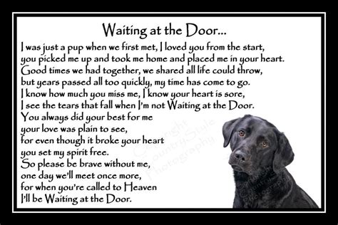 A world that shouldn't e.read the poem free on booksie. Black Labrador Pet Dog Memorial Print Rainbow Bridge Gift ...