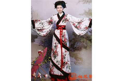 À vendre poitrine et jupe pour femmes broderie quotidienne. Hanfu, Tenue Chinoise Traditionnelle, Femme 2 - ChinaTown-Shop