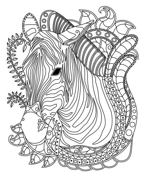 Zebra Colorish Coloring Book For Adults Mandala Relax By