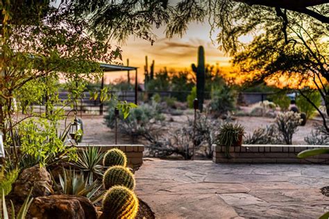 Desert Landscape Ideas For Backyards Landscaping Accessories