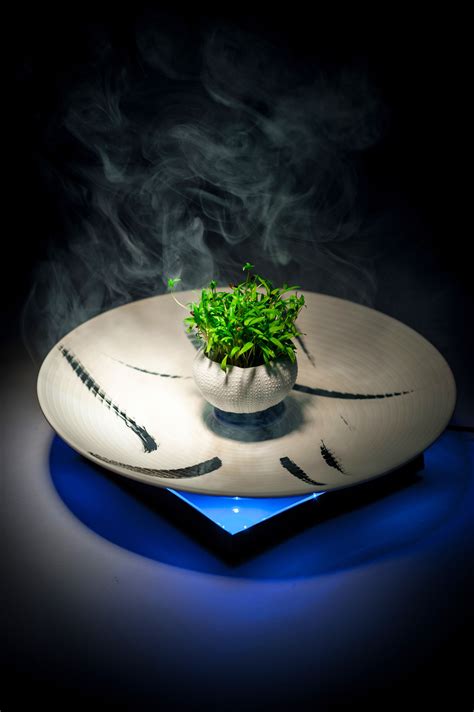 Latest Creations - Celebrity Chef. Gianfranco Chiarini When Food