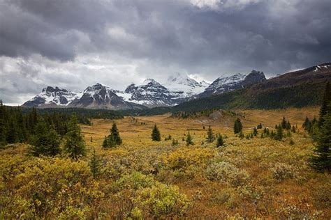 Og Meadows And The Mountains Around Mount Assiniboine Mountains The