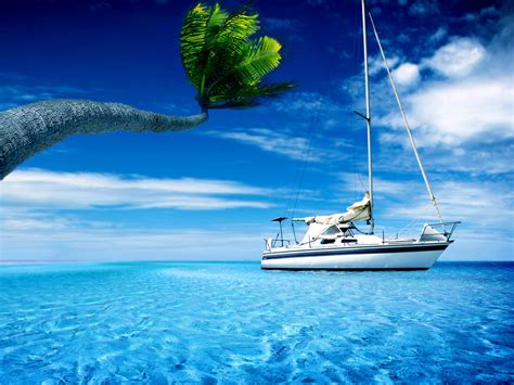 Wallpaper Boat Sea Water Palm Tree Hot Summer Sky 2560x1600 Hd