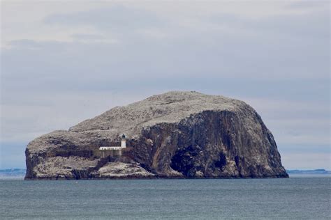 Pictures Of Bass Rock North Berwick North Berwick Life