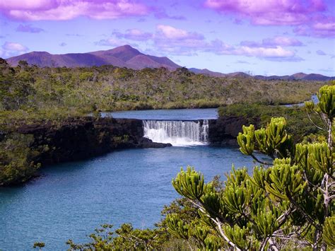 New Caledonia Rainforests One Earth