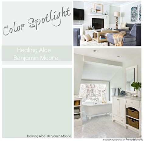 Healing aloe is a classic paint color that works with traditional or modern decor. Paint Color Spotlight: Healing Aloe from Benjamin Moore. A ...