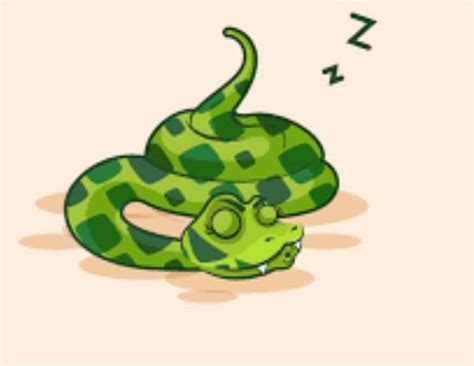 Snakes Dont ‘go To Sleep Snake Catchers Adelaide