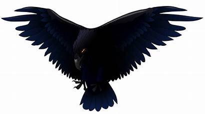 Raven Scary Vector Clipart Clip Bird Crow