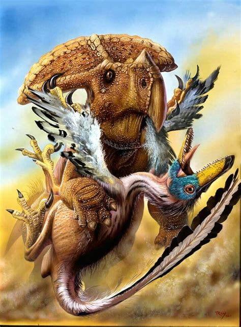 Protoceratops Fights Off A Velociraptor Artwork By Luis Rey Dinosaur Images Dinosaur