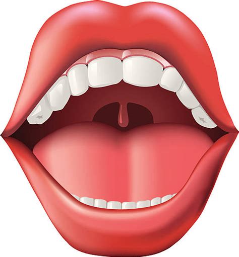 Tonsil Clip Art Vector Images And Illustrations Istock