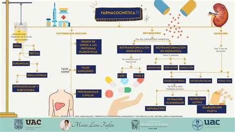 Mapa Conceptual Farmacocinetica Ya Farmacodinamia By Leidy Lizarazo