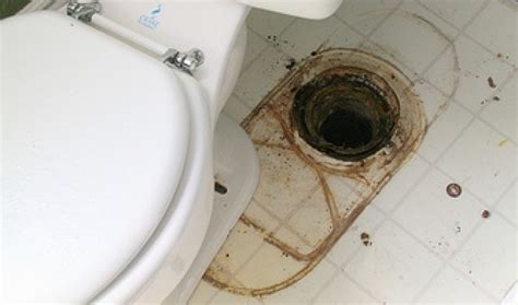 How To Fix A Clogged Toilet Diy And Repair Guides