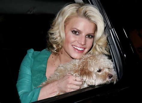 Discover The Most Tragic Celebrity Pet Deaths
