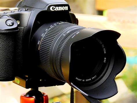 The Best Starter Cameras For Photography Or Videography Heights