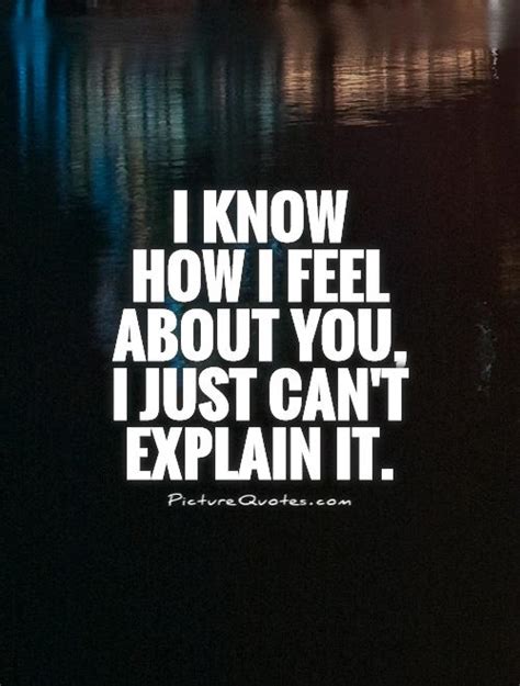 I Know How I Feel About You I Just Can T Explain It Picture Quotes