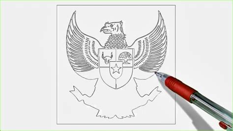 Cara Menggambar Sketsa Burung Garuda