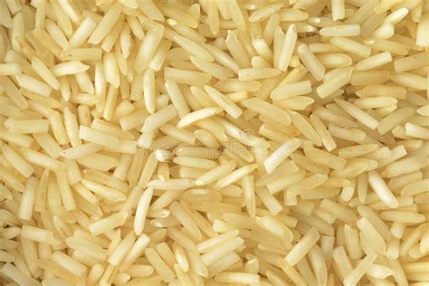 White Rice Grain Stock Photo Image Of Indian Staple 62990136