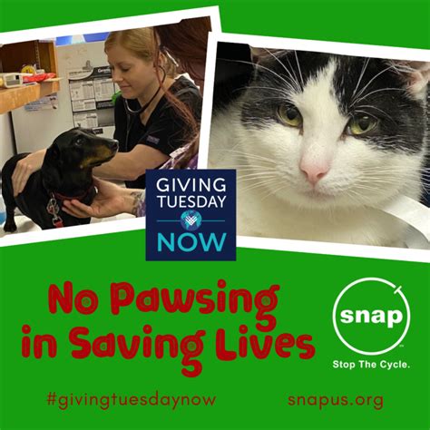No Pawsing In Saving Lives Emergency Campaign Spay Neuter