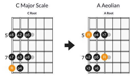 Basics Of Guitar Modes