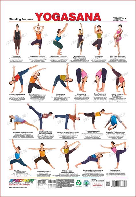 Spectrum Yogasana Standing Postures Polypropylene Chart Amazon In Sports Fitness Outdoors