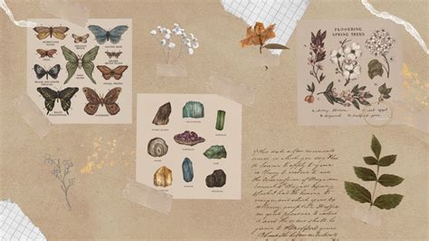 Vintage home inspiration & aesthetics: lockscreens. — Would you consider making some computer...
