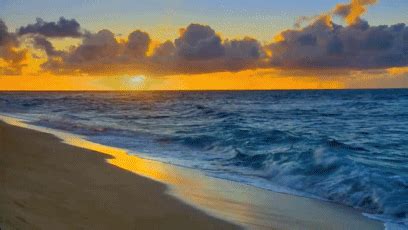 Beach Gifs Find Share On Giphy